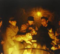 Golden Embers