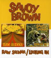 Raw Sienna/Looking In
