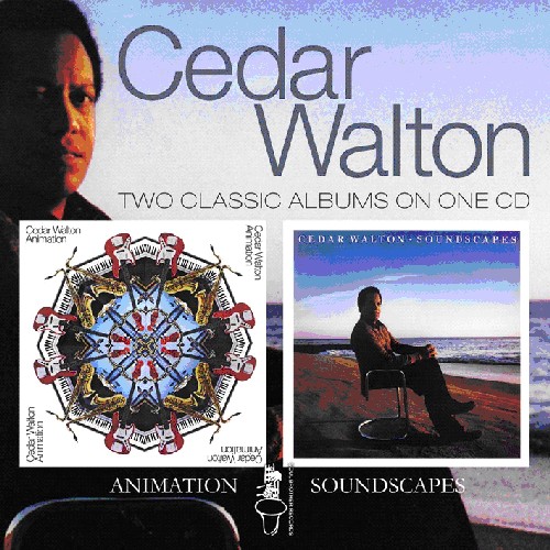 Animation/Soundscapes