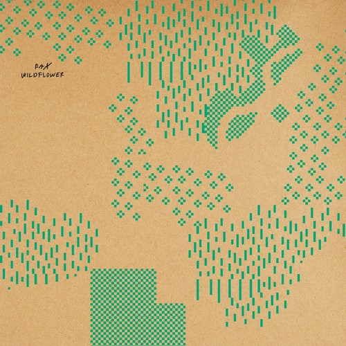 Pax - Wildflower vinyl record cover