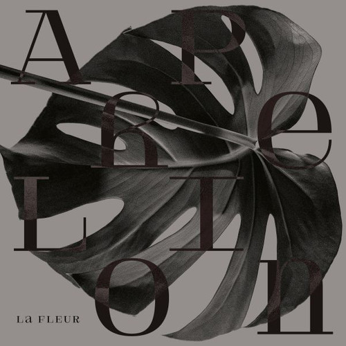 Aphelion