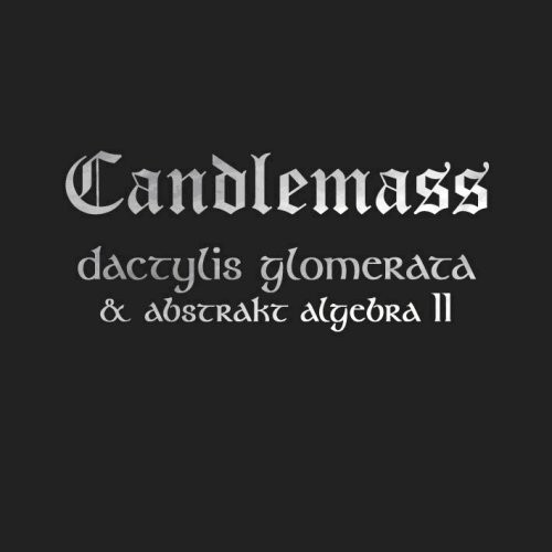 Dactylis Glomerate and Abstract Algebra 2