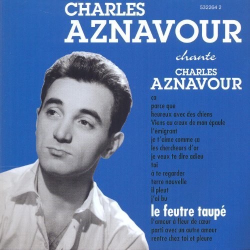 Le Feutre Taupe
