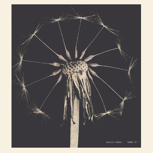 Maxine Funke - Home Fi vinyl record cover