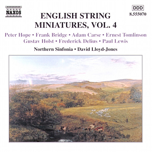 David Lloyd-Jones - English String Miniatures 4 / Various