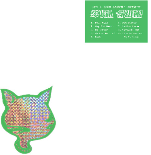 Sage Caswell - Evil Twin vinyl record cover