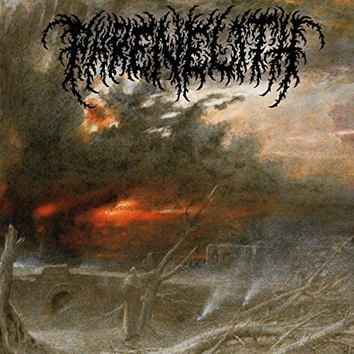 Phrenelith - Desolate Endscape vinyl record cover