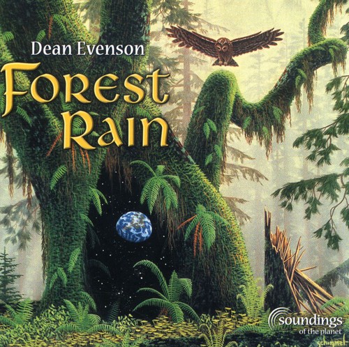 Dean Evenson - Forest Rain