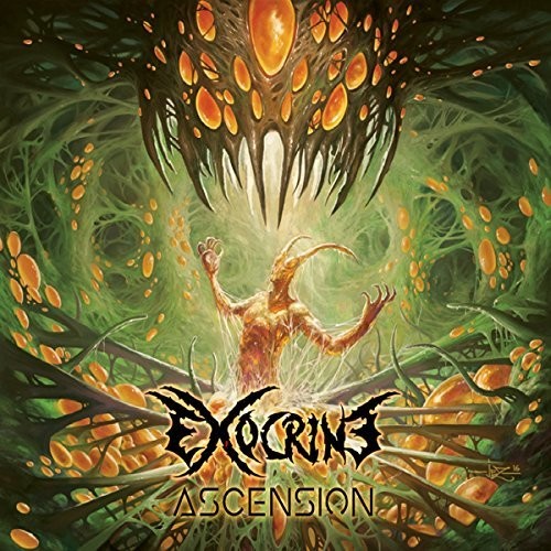 Ascension