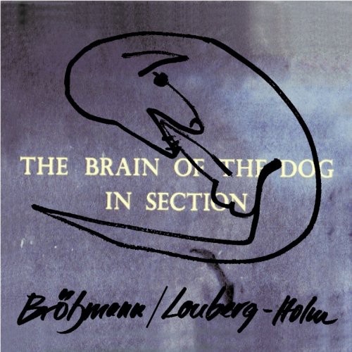 Brain Of The Dog In Section