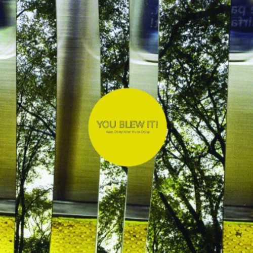 You Blew It! - Keep Doing What You're Doing vinyl record cover