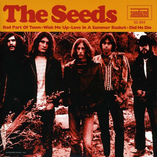 Seeds - Bad Part Of Town vinyl record cover