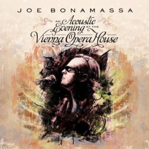 Acoustic Evening At The Vienna Opera House