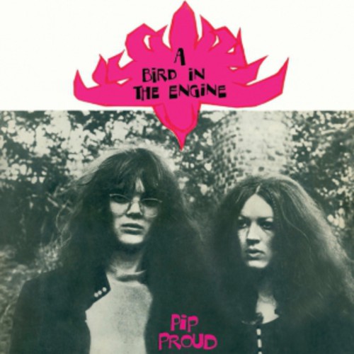 Pip Proud - Bird in the Engine vinyl record cover