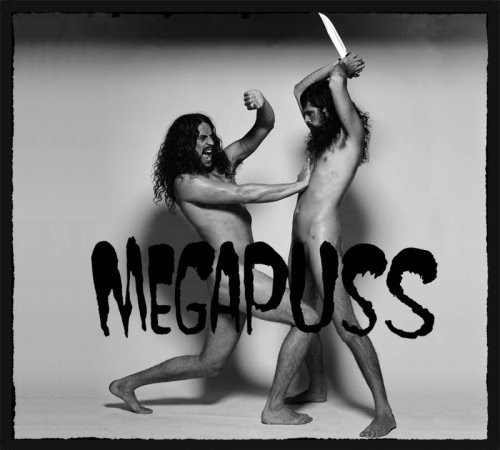 Megapuss - Surfing vinyl record cover