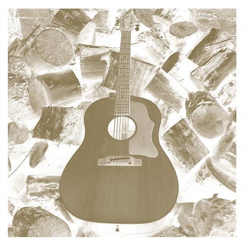 Vdsq Solo Acoustic Vol. 11