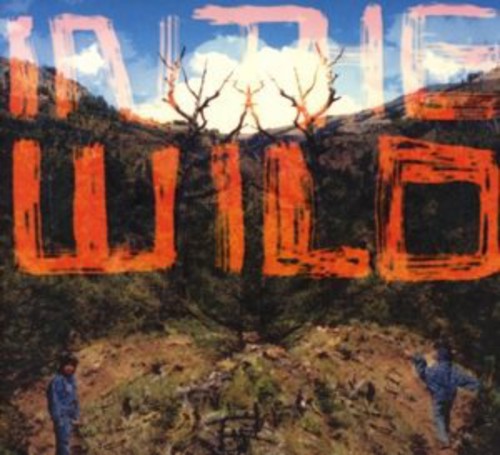 FaltyDL - In The Wild vinyl record cover