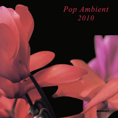 Pop Ambient 2010 - Pop Ambient 2010 vinyl record cover
