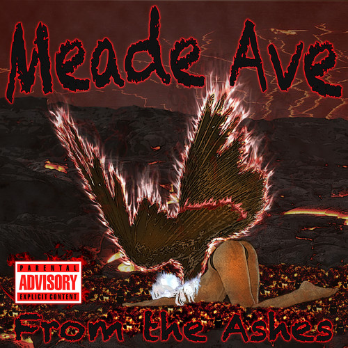 Meade Ave - From The Ashes vinyl record cover
