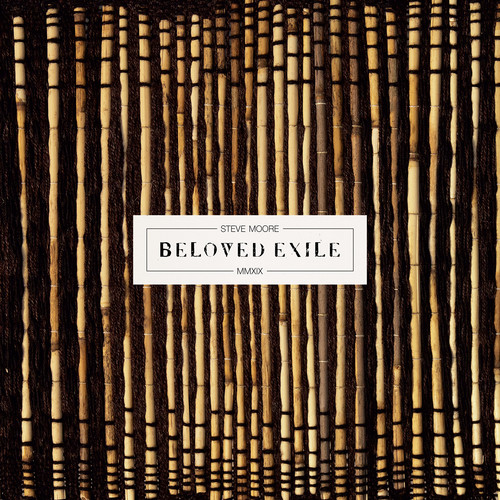 Steve Moore - Beloved Exile vinyl record cover