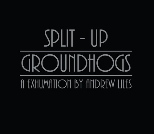 Andrew Liles - Groundhogs Split-Up: A Exhumation By Andrew Liles vinyl record cover