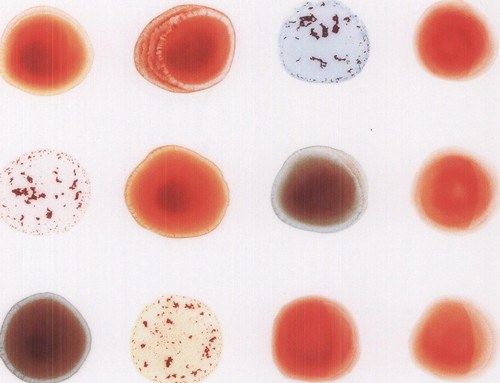 Peter Gabriel - Scratch My Back & I'll Scratch Yours vinyl record cover
