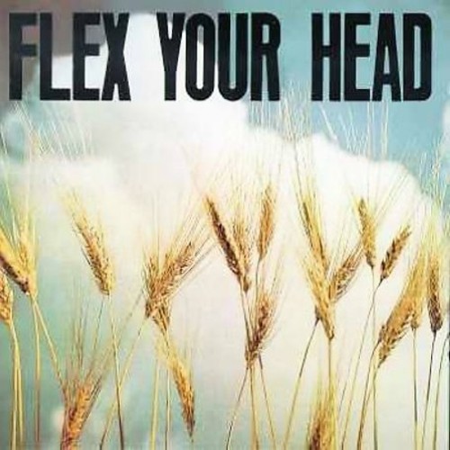Flex Your Head - Flex Your Head vinyl record cover