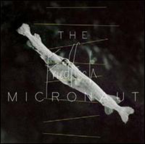 Micronaut - Friedfisch vinyl record cover