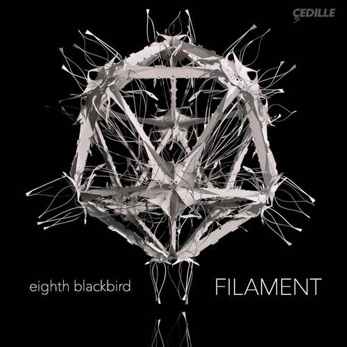 Dessner / Eighth Blackbird / Dessner / Muhly - Filament vinyl record cover