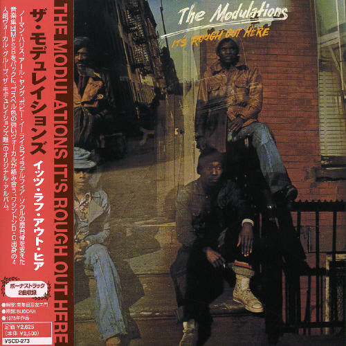 Modulations - It's Rough Out Here vinyl record cover