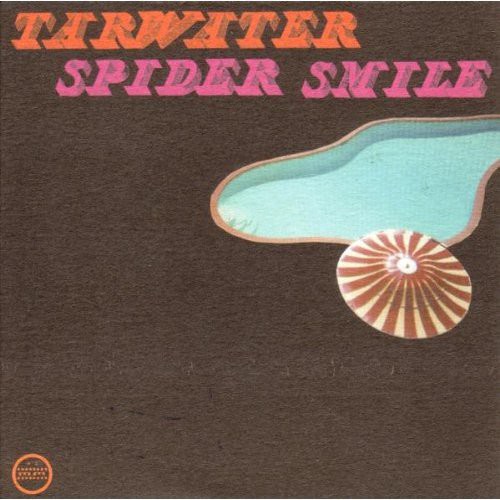 Tarwater - Spider Smile vinyl record cover