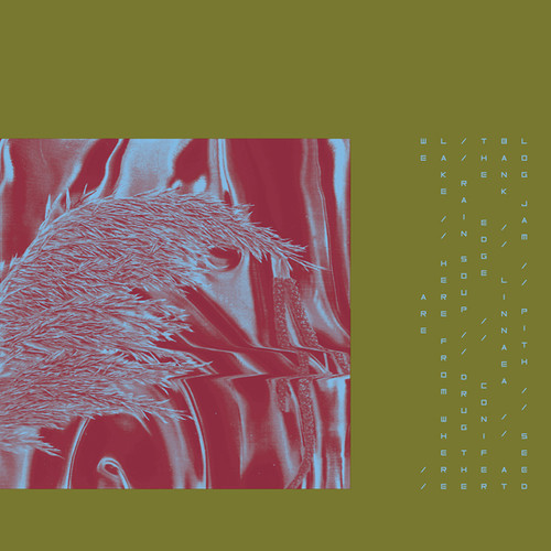 Pariah - Here from Where We Are vinyl record cover
