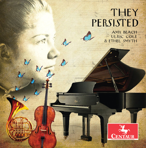 Beach / Goldstein / Heim - They Persisted vinyl record cover