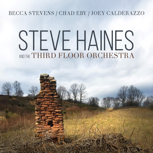 Steve Haines & Third Floor Orchestra - Steve Haines And The Third Floor Orchestra vinyl record cover