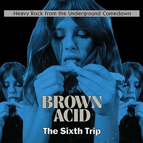 Brown Acid - The Sixth Trip / Various - Brown Acid - The Sixth Trip / Various vinyl record cover