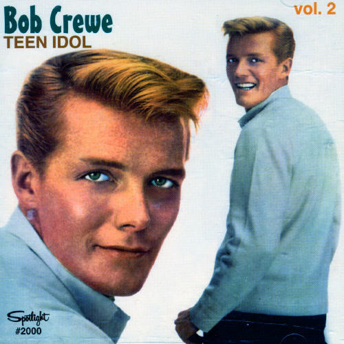 Vol. 2-Teen Idol