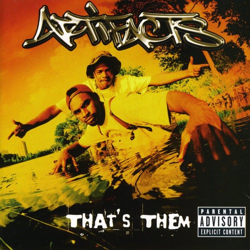 Artifacts - That's Them