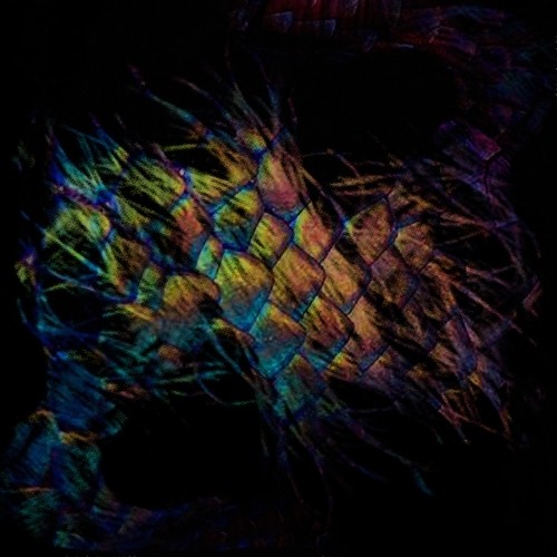 Vaura - Sables vinyl record cover
