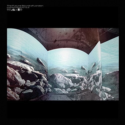 Future Sound Of London - Environment 6.5