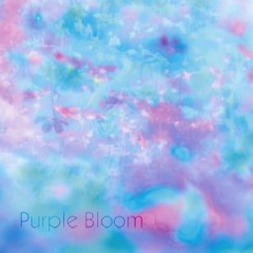 Purple Bloom - Purple Bloom vinyl record cover