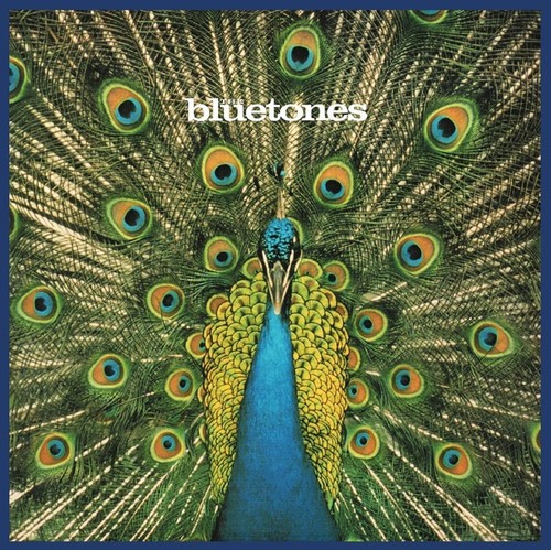 Expecting to Fly: 20th Anniversary Vinyl Edition