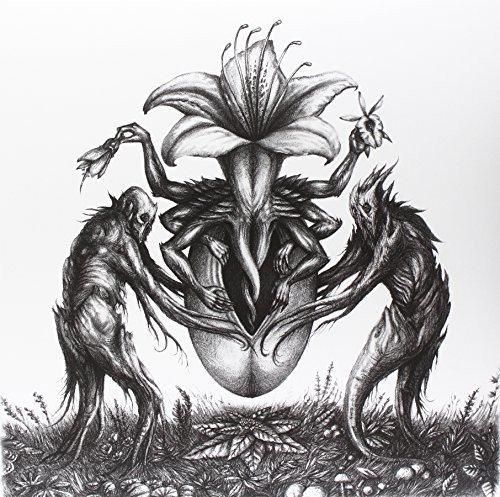 Iv: Mandragora
