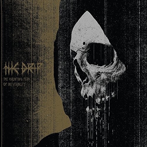 The Drip - The Haunting Fear Of Inevitability vinyl record cover