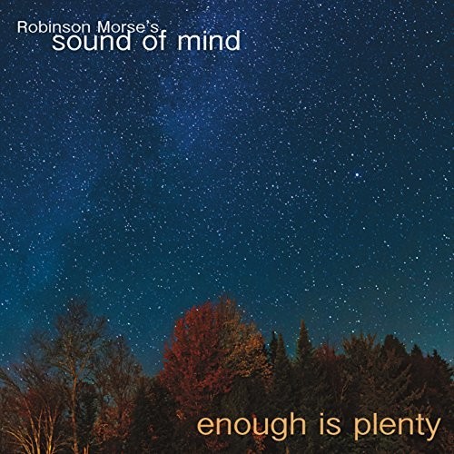 Robinson Morses Sound Of Mind - Enough Is Plenty vinyl record cover