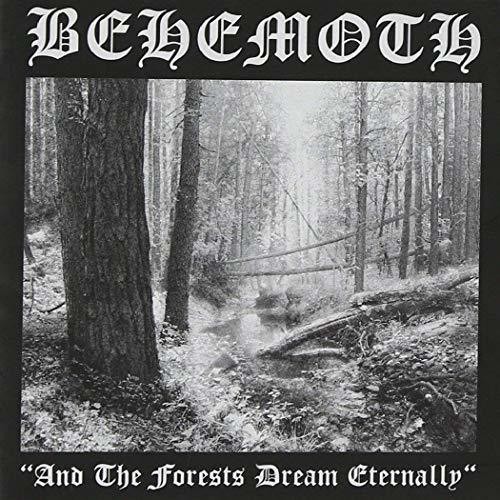 & The Forests Dream Eternally