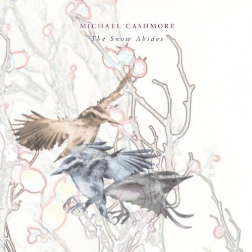 Michael Cashmore - Snow Abides vinyl record cover