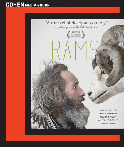 Rams - Rams