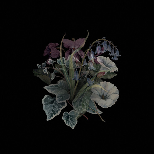 Nhor - Wildflowers (Blk) (Gate) vinyl record cover
