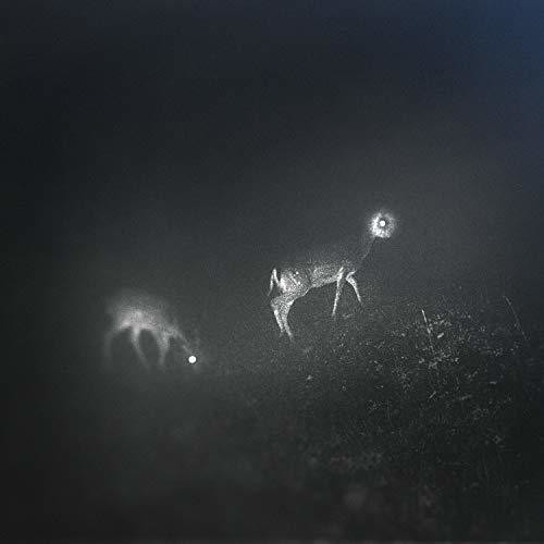 Bliss Signal - Bliss Signal [Limited Edition]