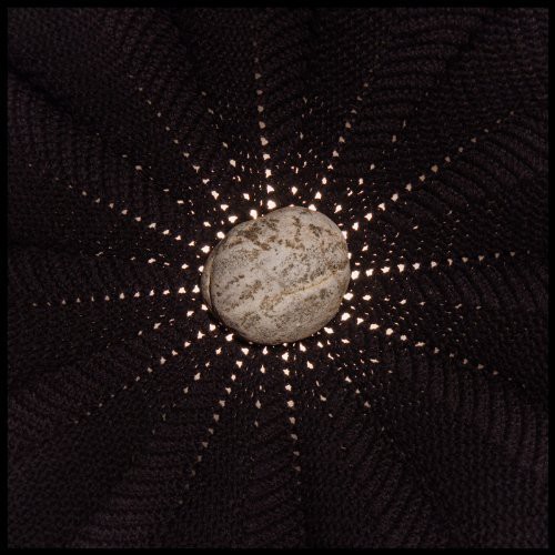 Nat Baldwin - In the Hollows vinyl record cover